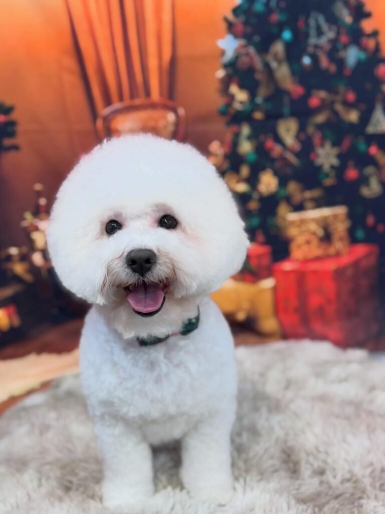 whatsapp image 2026 01 06 at 13.29.19