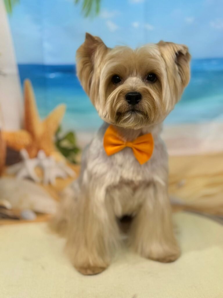 whatsapp image 2026 01 11 at 18.03.57 (4)