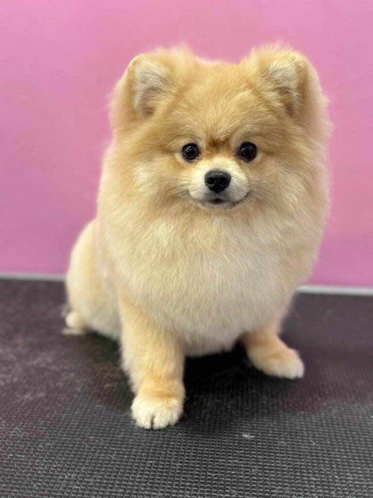 whatsapp image 2026 01 11 at 18.03.58