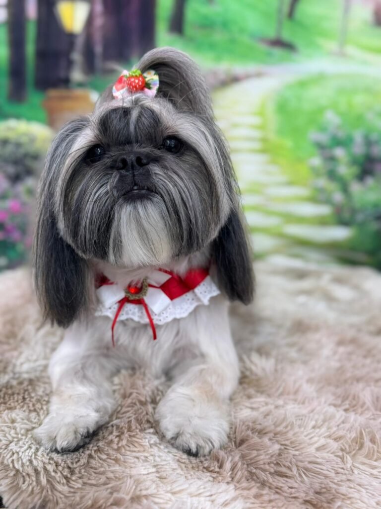 whatsapp image 2026 01 11 at 18.03.59