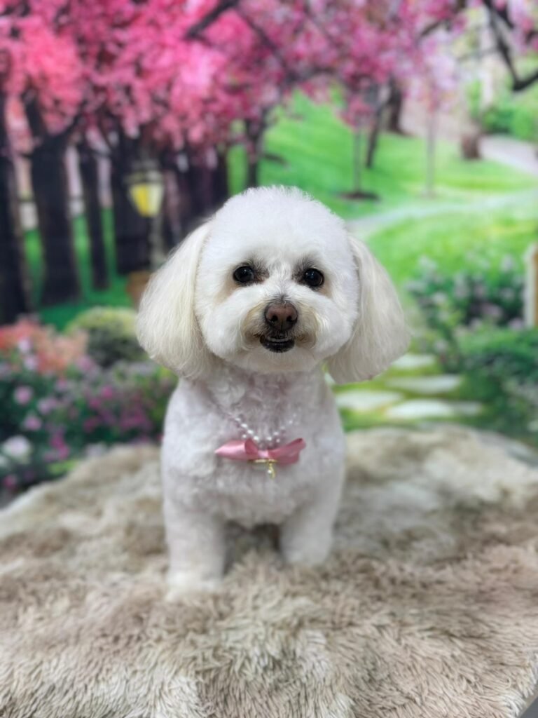 whatsapp image 2026 01 11 at 18.07.25 (1)