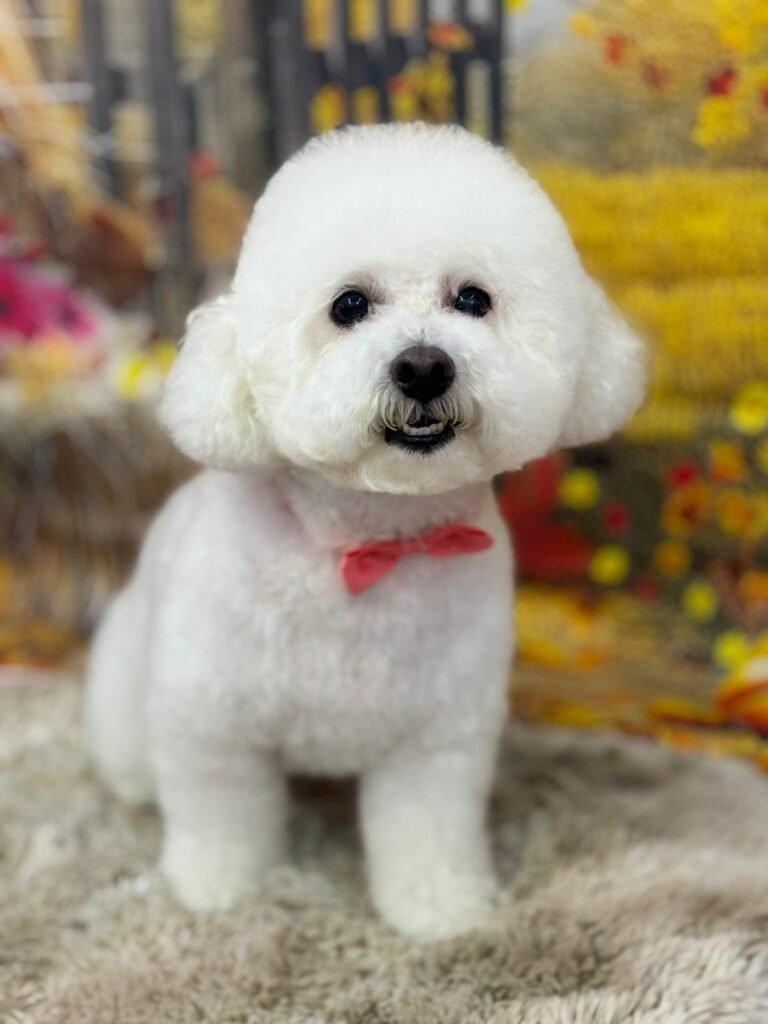 whatsapp image 2026 01 11 at 18.07.25