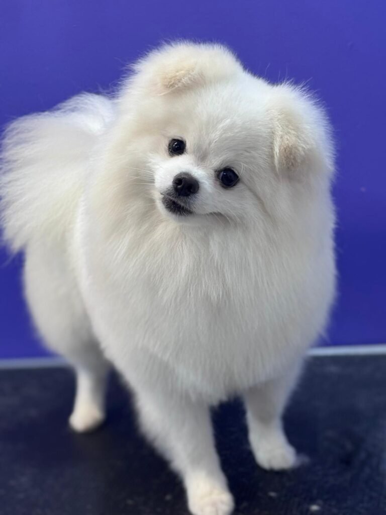 whatsapp image 2026 02 08 at 22.00.47