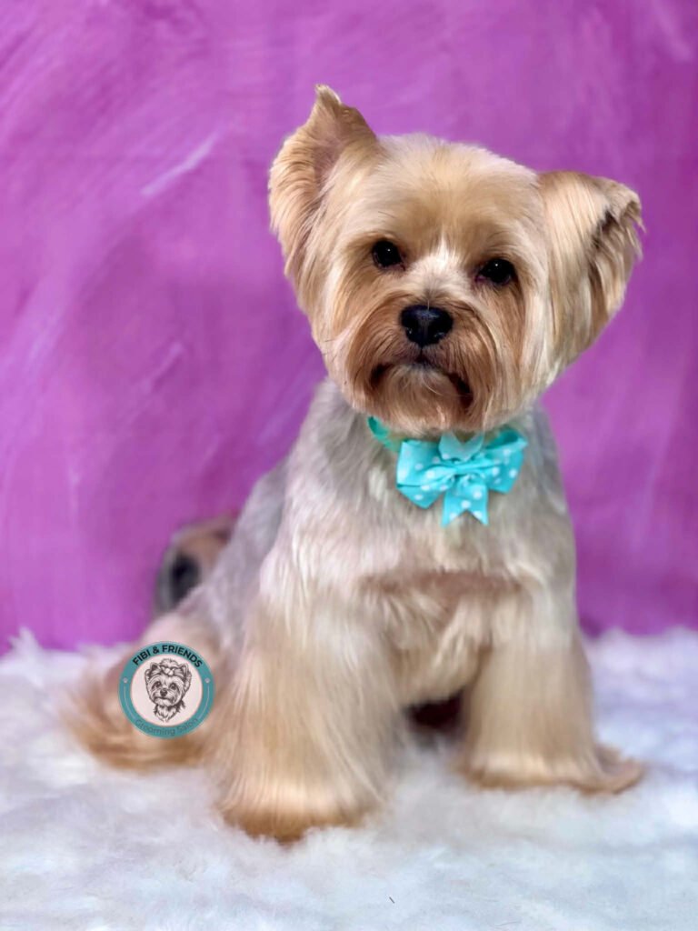 093defed c144 4f13 a02c 82968027dd02