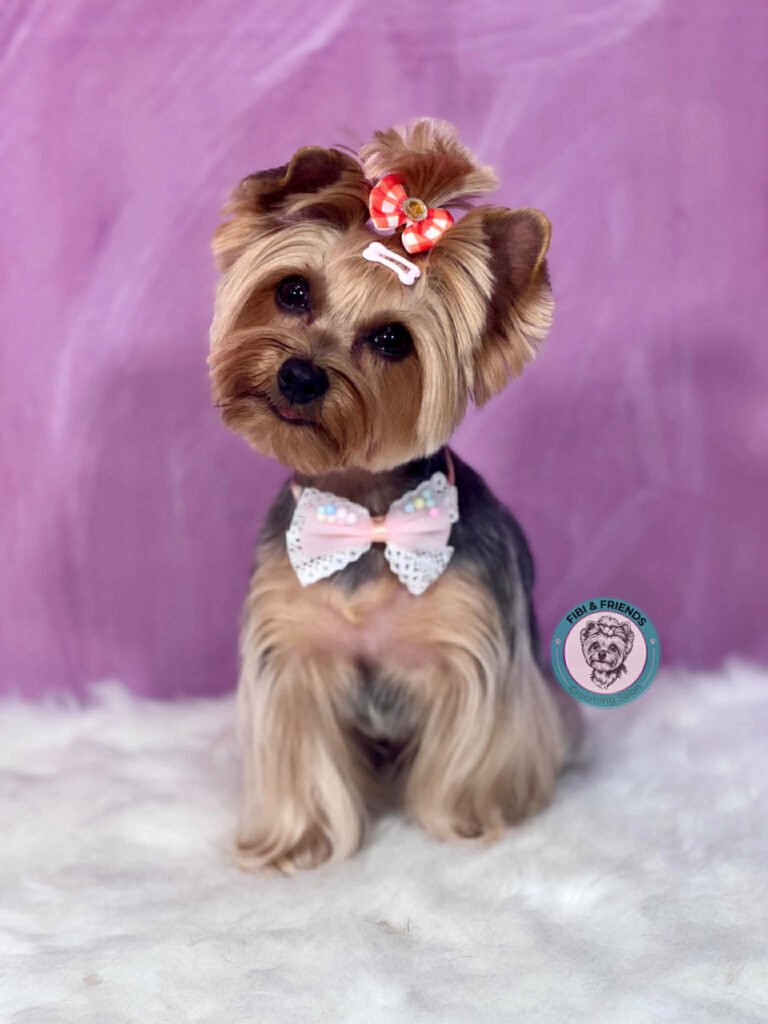 401a3910 9047 4a69 8ba0 95baf1c29d8b