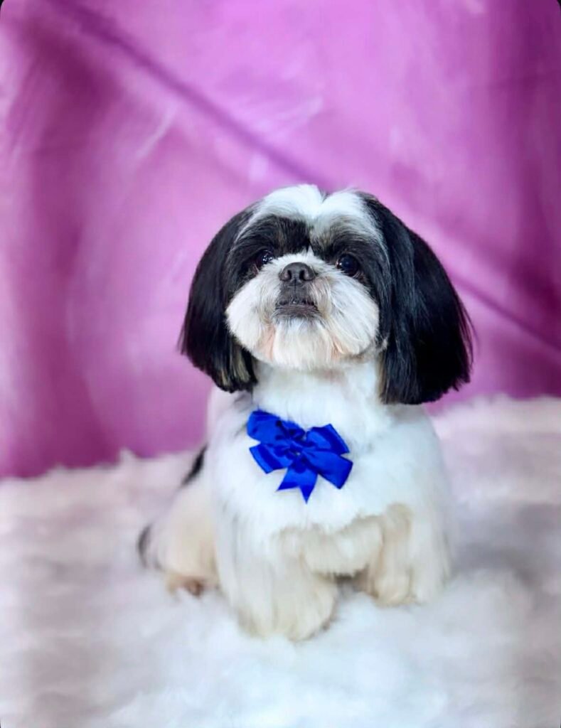 447031a0 6218 4c66 8b14 cb7e190b4bd9