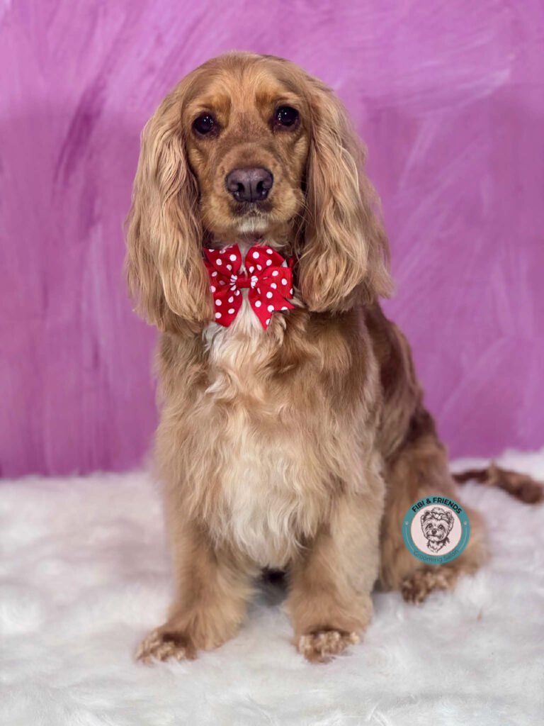 d8bd4364 334f 45d0 8629 094d07fedc39