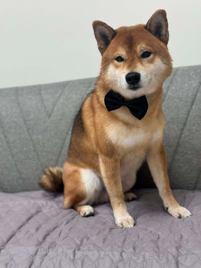 f3a03839 a475 4f83 8301 96833aa058e9