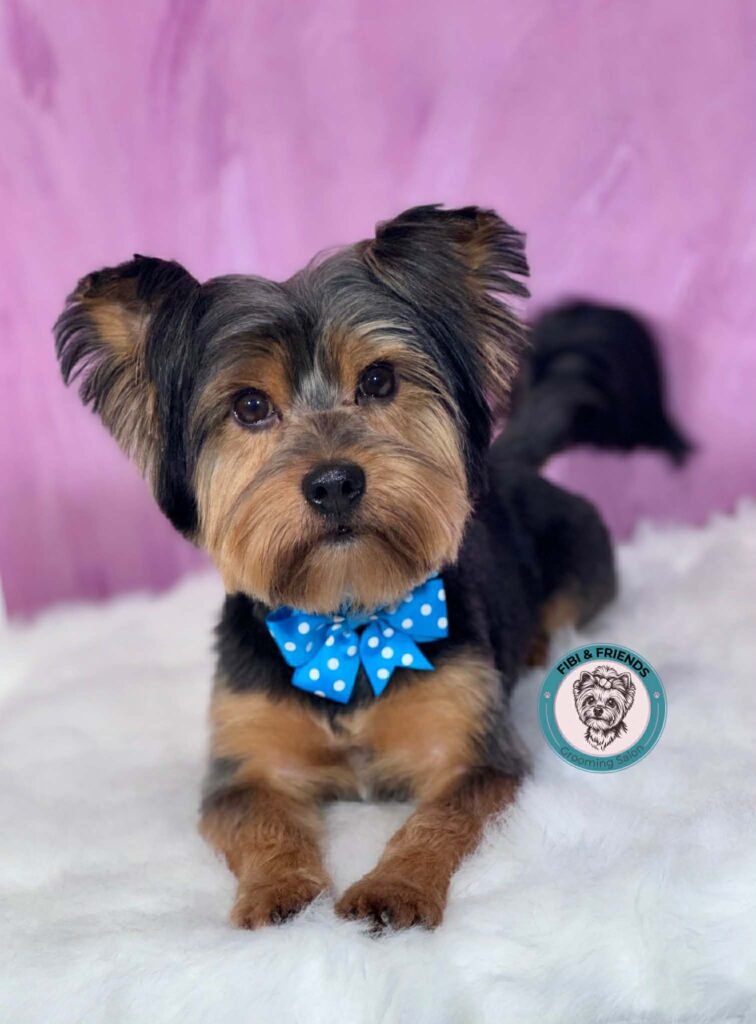 fbe327ed 99aa 4d5d 90ff a918bdc41877